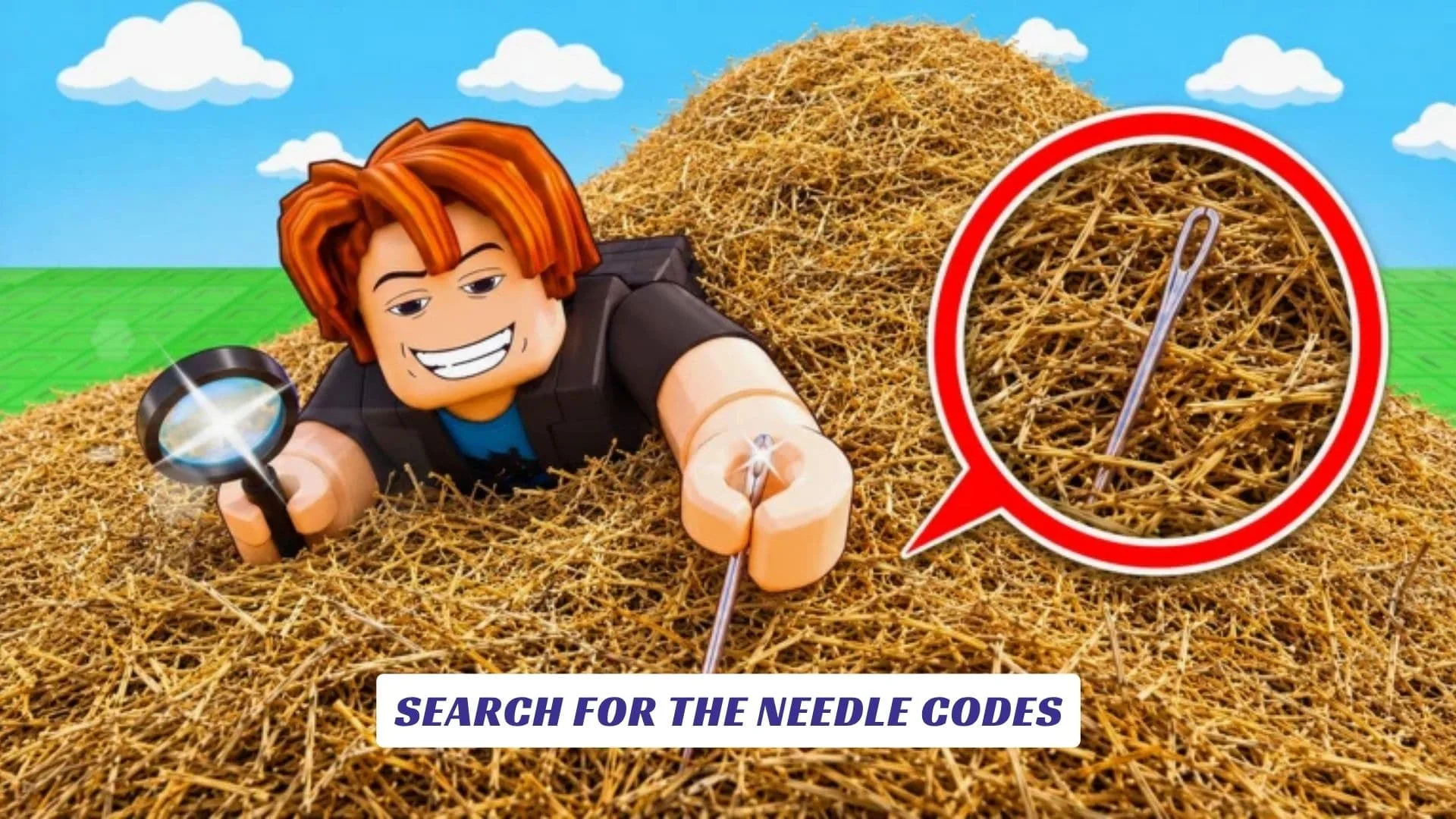 Search For The Needle Codes Search For The Needle Codes