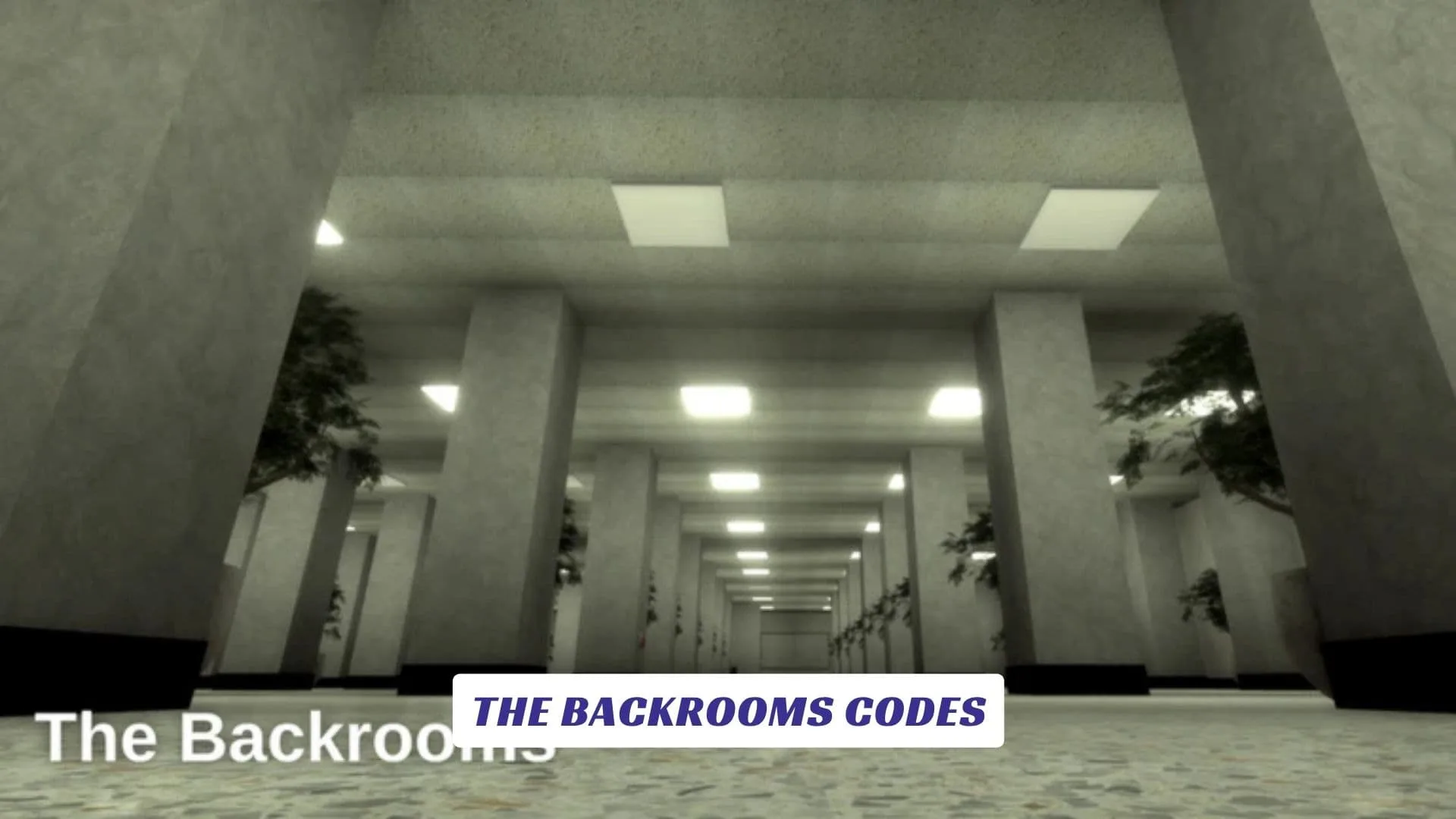The Backrooms Codes The Backrooms Codes