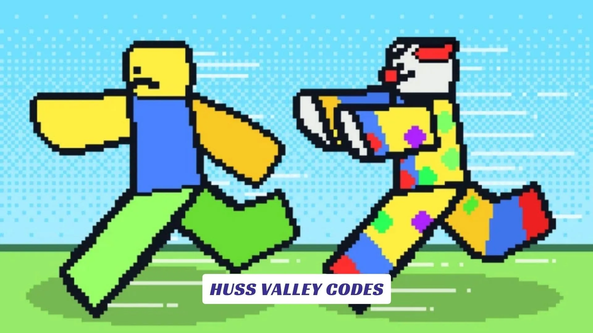 Huss Valley Codes Huss Valley Codes
