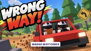 WRONG WAY! Codes